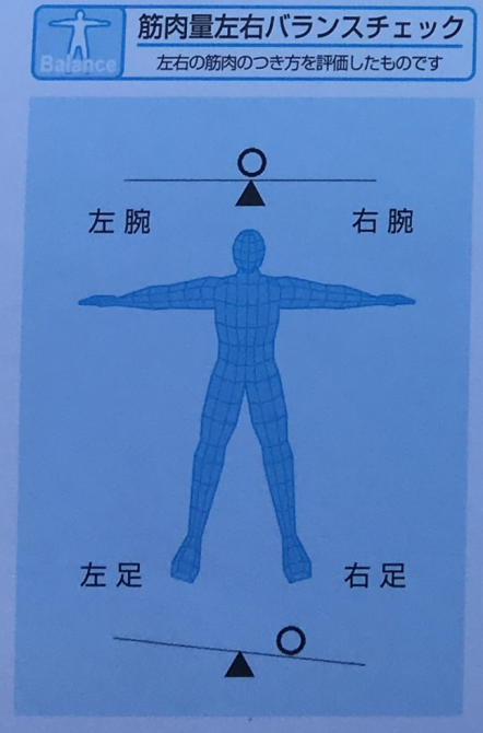 20180601　筋肉量左右バランス　メガロス